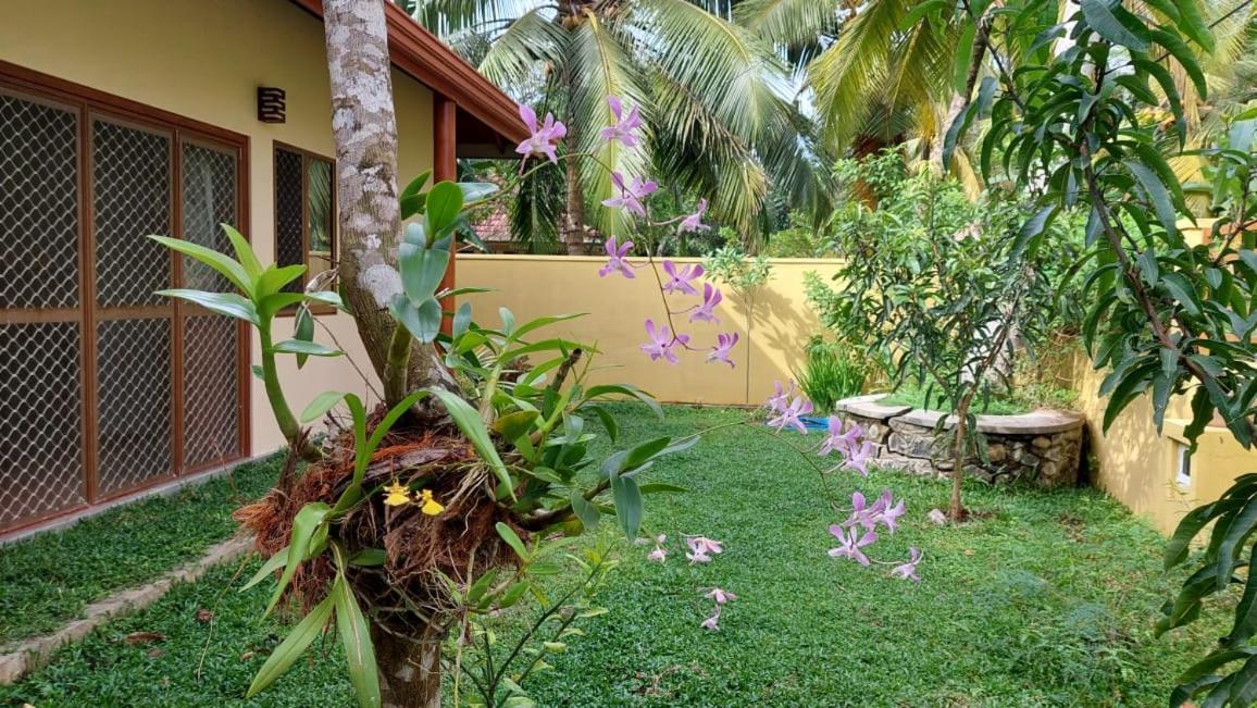 El-Nivasa Villa In Weligama Exterior photo